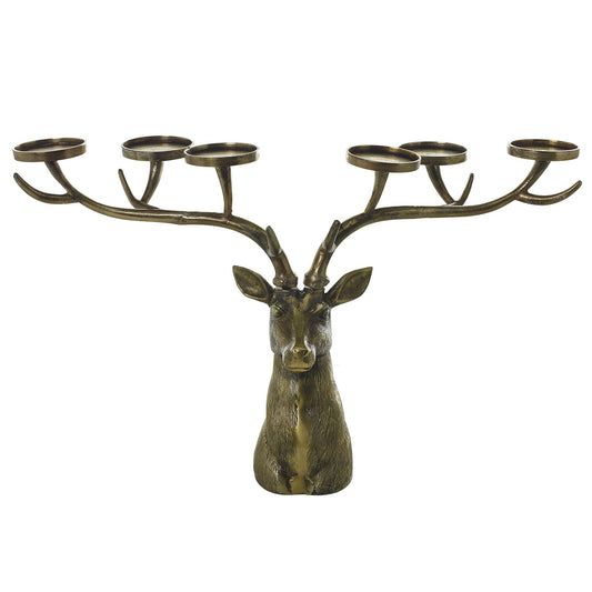 Stag Collection
