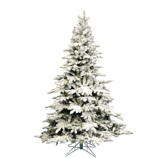 Flocked Utica Fir Tree