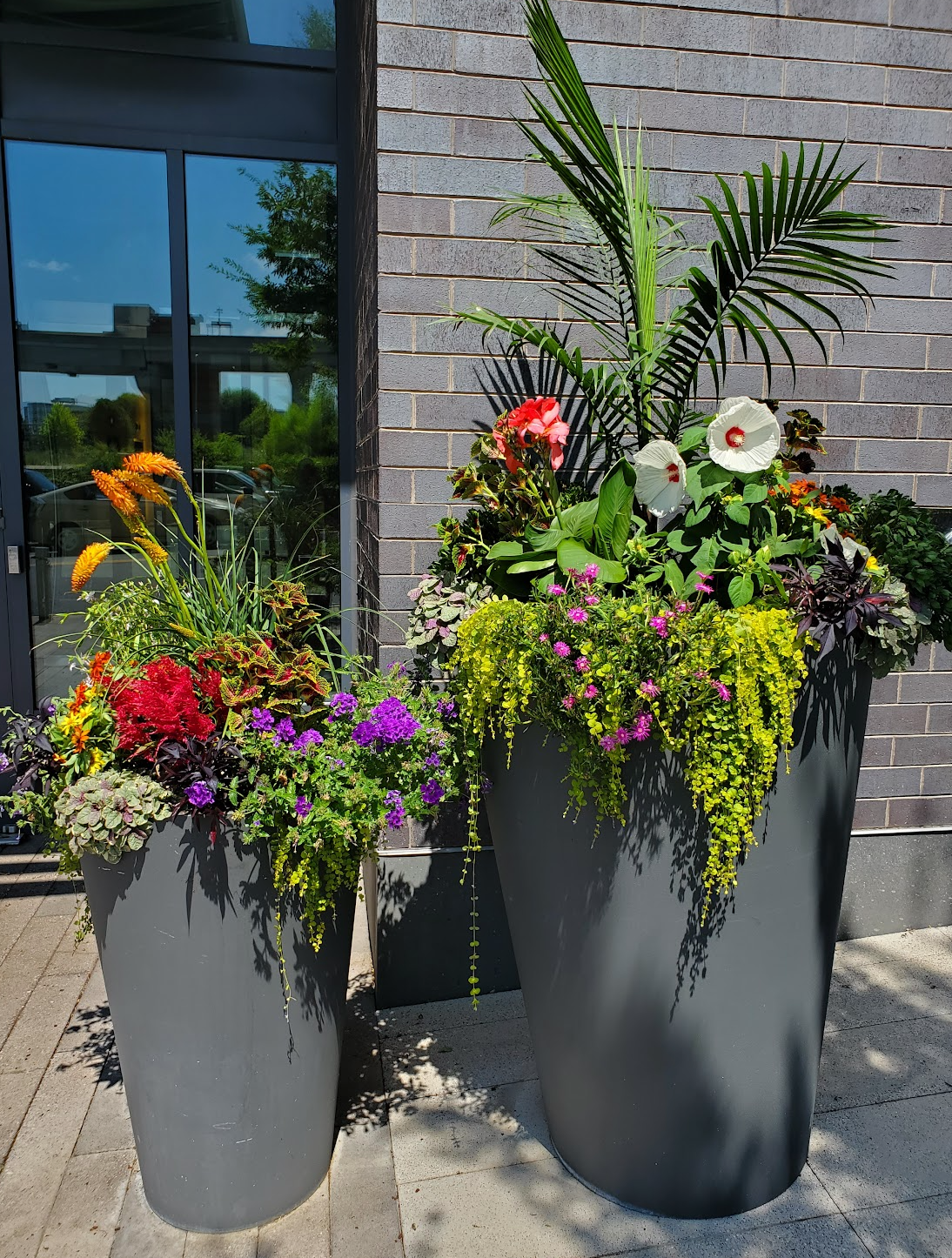 Exterior Container Plantings