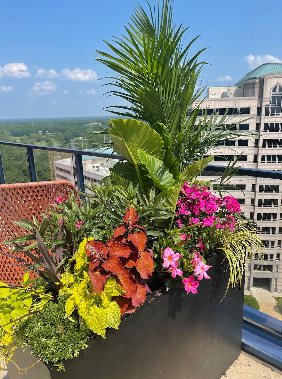 Exterior Container Plantings