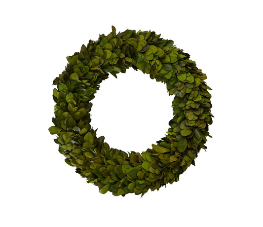 Preserved Holly Wreath (Packs of 4)