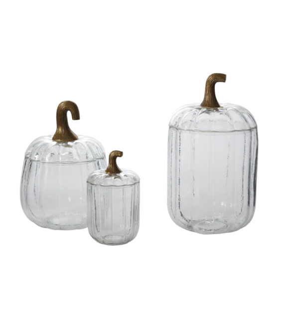 Pumpkin Terrarium Trio