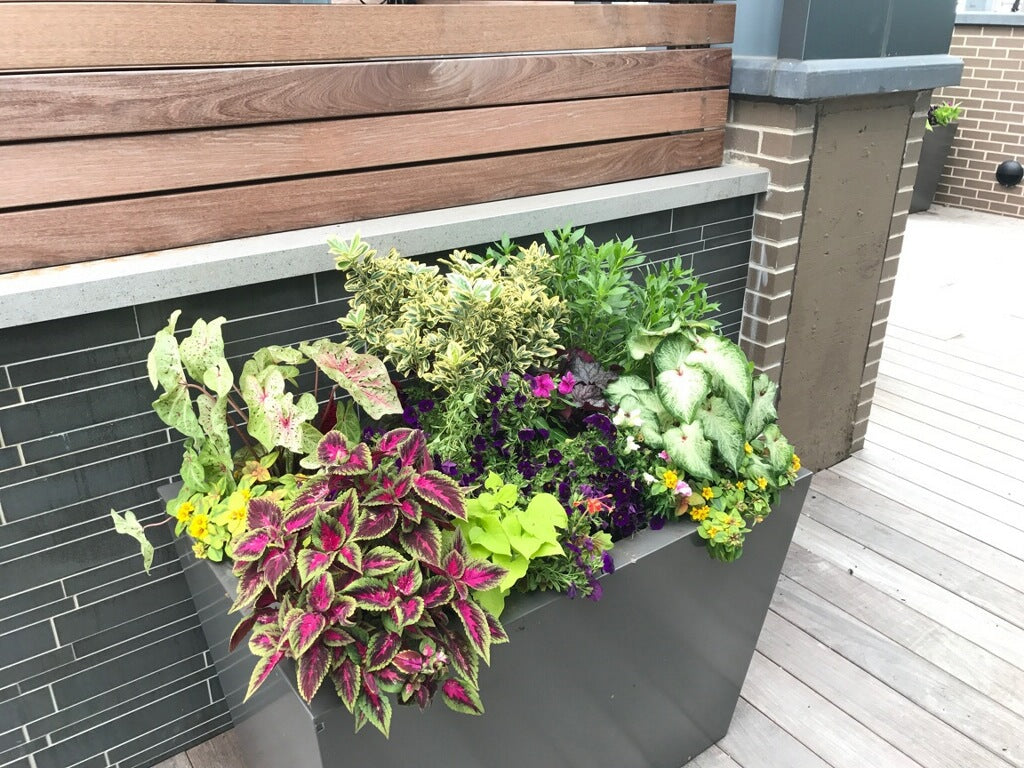 Exterior Artisan Spring Potting