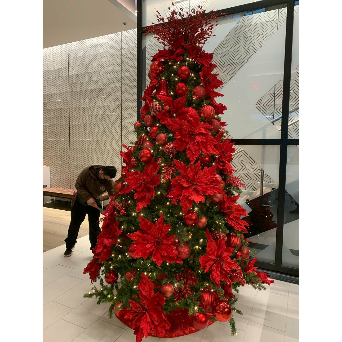 Decorated Lifelike Trees with White Lights