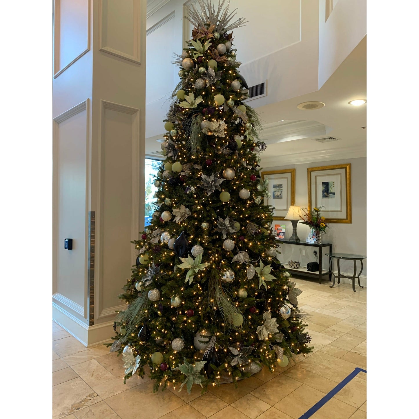 Decorated Lifelike Trees with White Lights