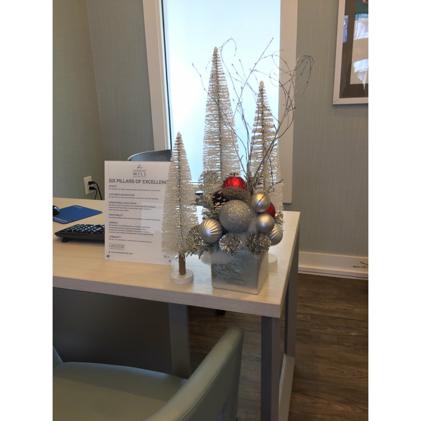 Holiday Accent Design (Dried/Ornaments)