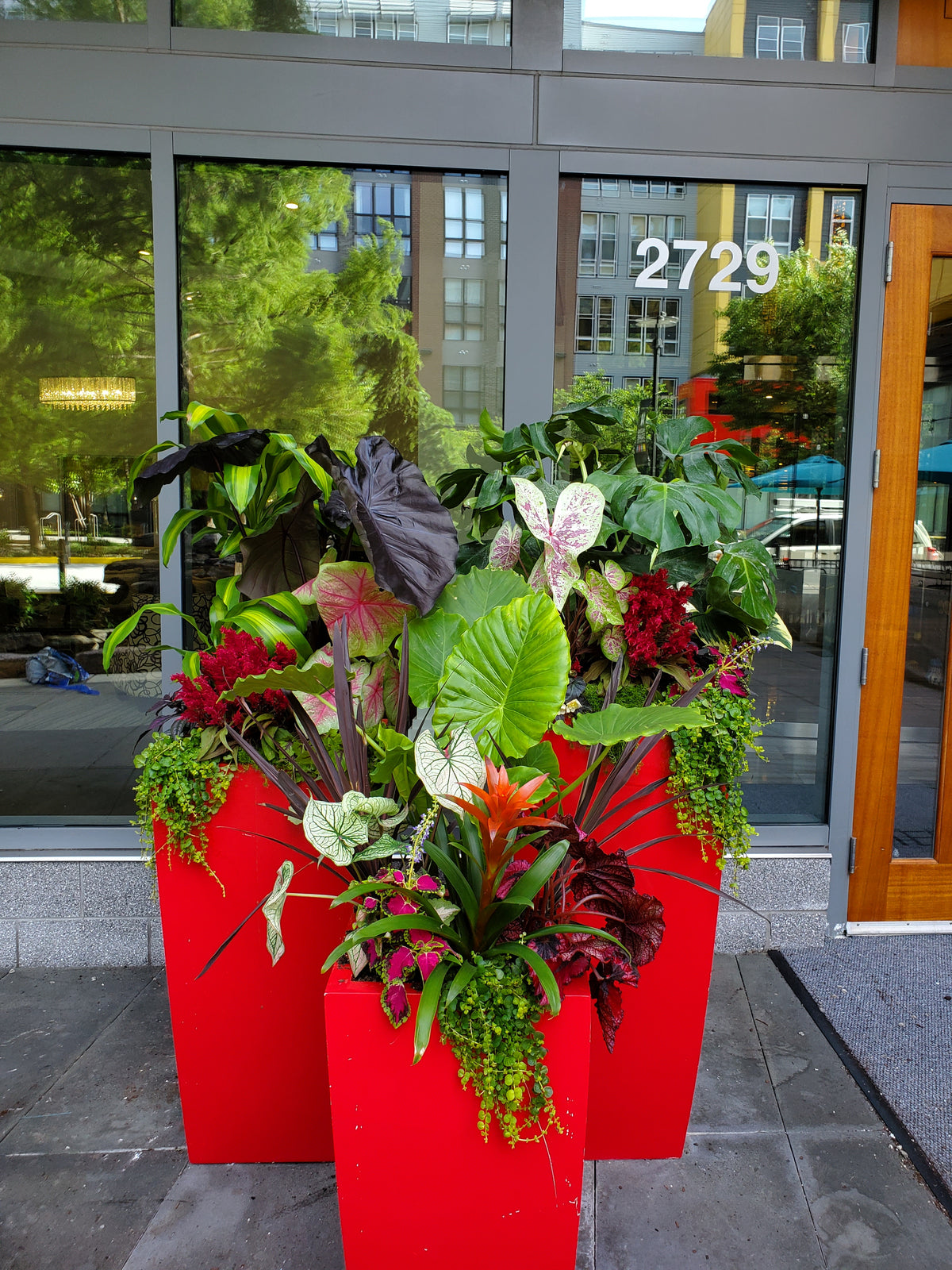 Bloompop Bloompop Nationwide Artisan Flowers, Plants, and Holiday Decor
