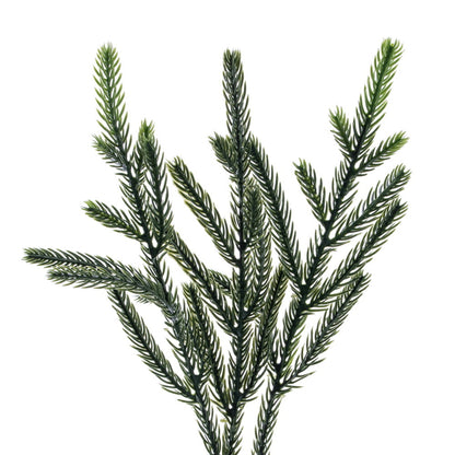 Norfolk Pine Real-Touch Designer Garland