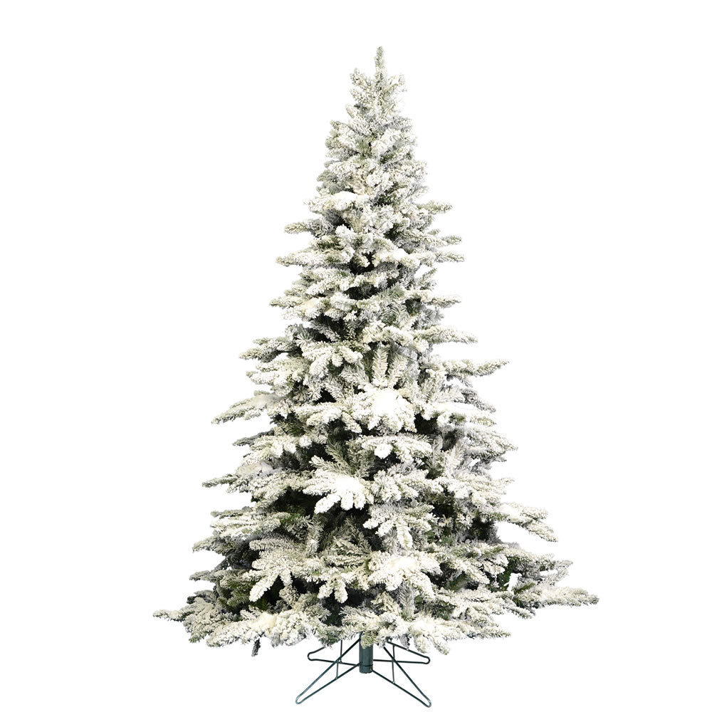 Flocked Utica Fir Tree