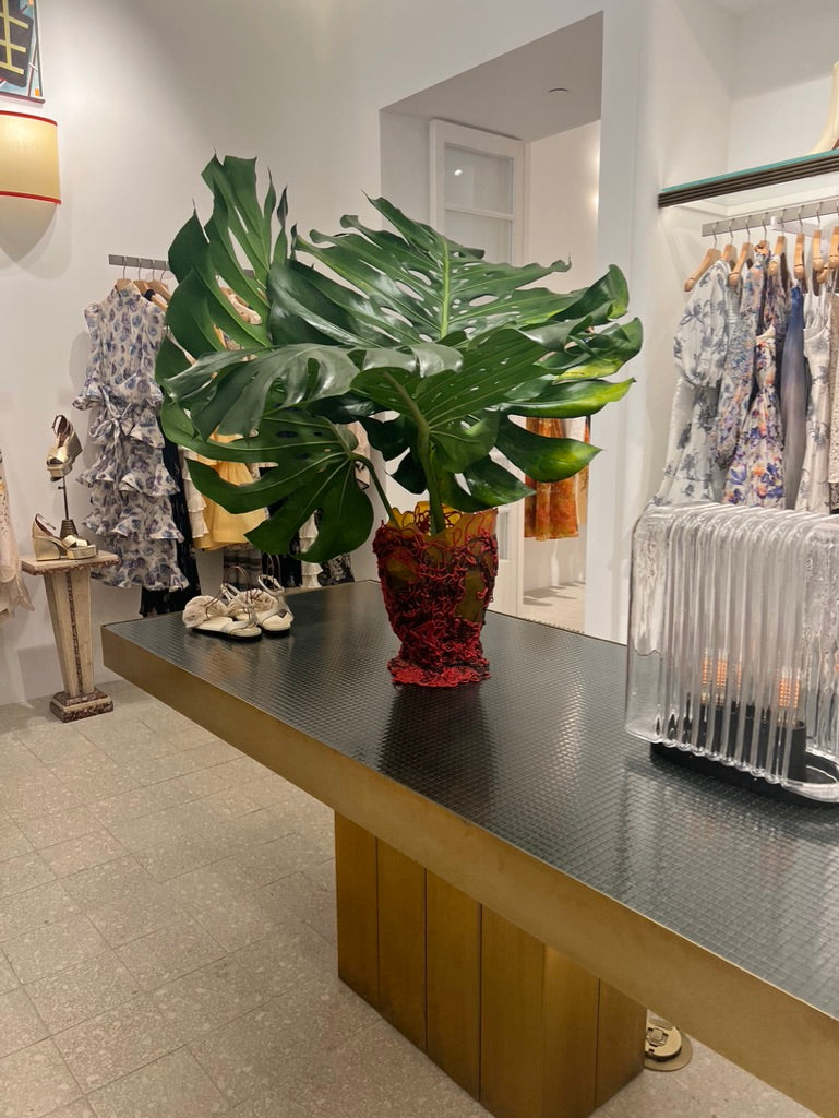 Bloompop Interior Long-Lasting Designs – Bloompop