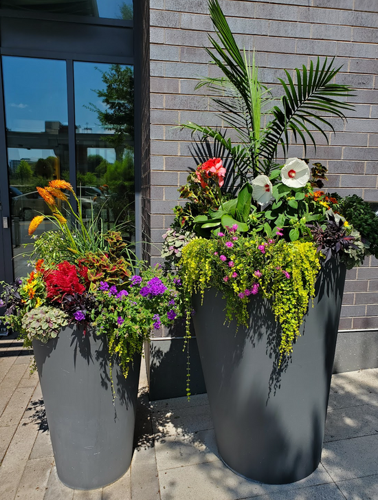 Bloompop Bloompop Nationwide Artisan Flowers, Plants, and Holiday Decor