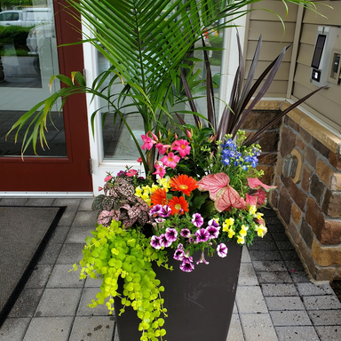 Bloompop Exterior Container Plantings – Bloompop