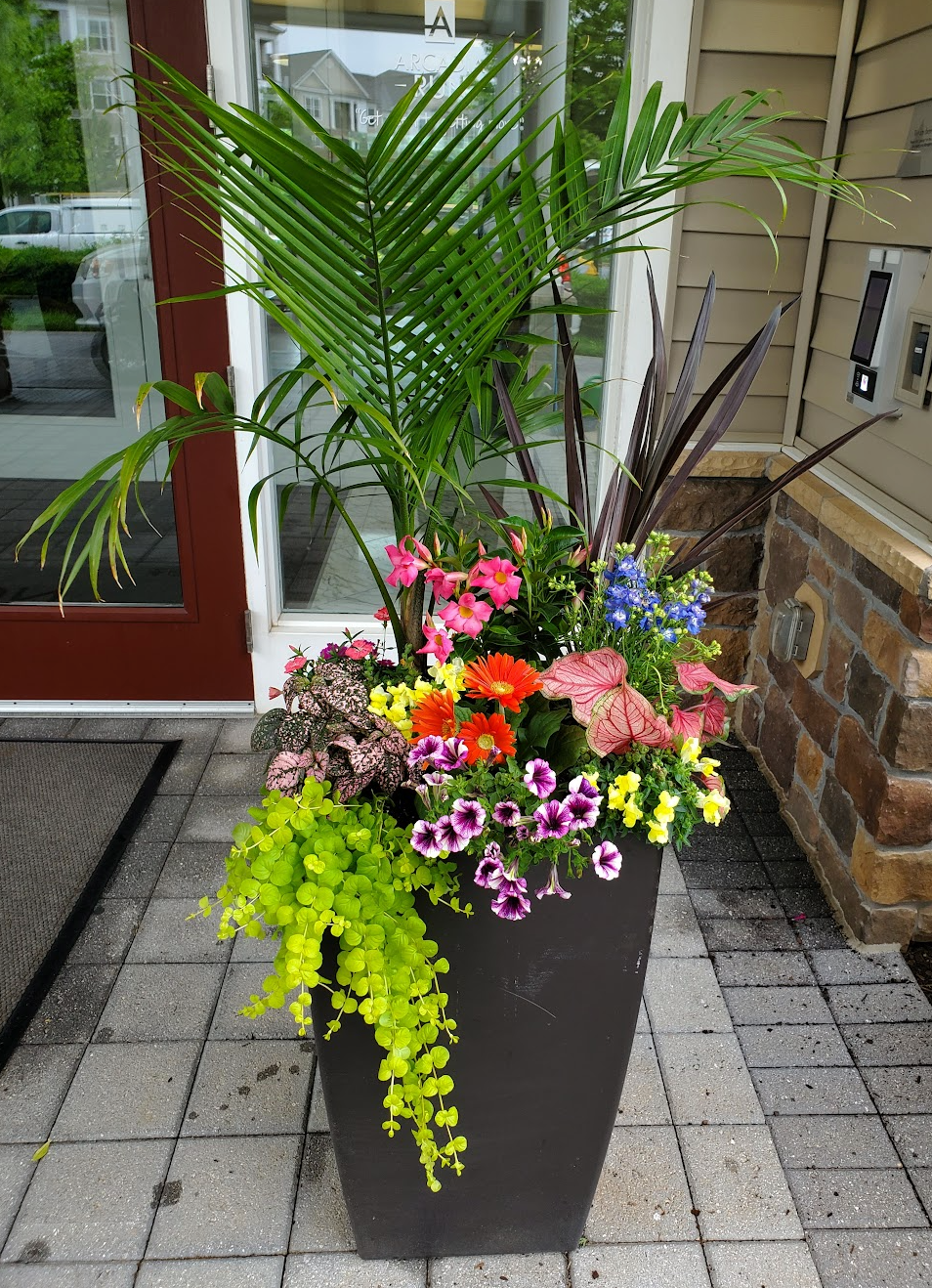 Exterior Container Plantings