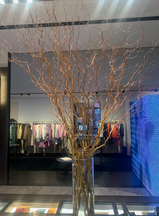 Bloompop Interior Long-Lasting Designs – Bloompop