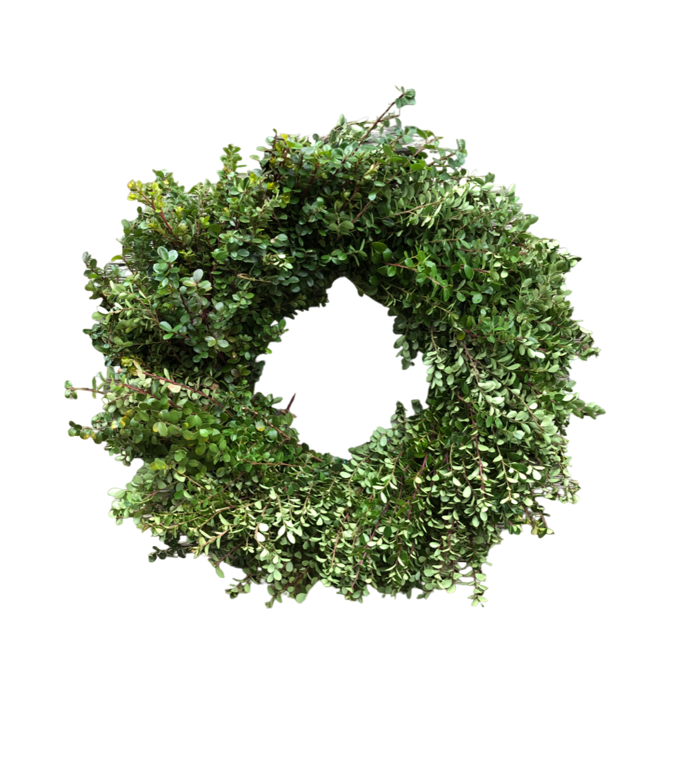Natural Boxwood Wreath