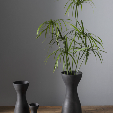 Curvy Black Vase