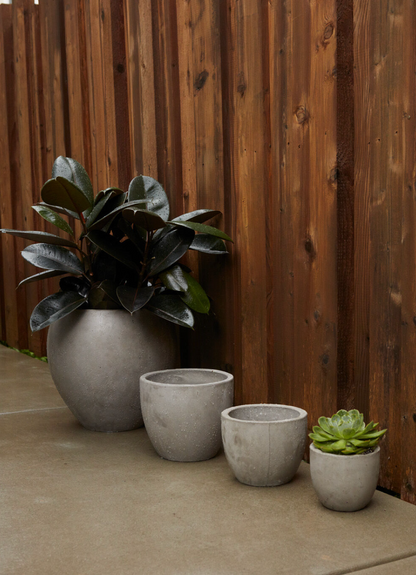 Petroflora Container