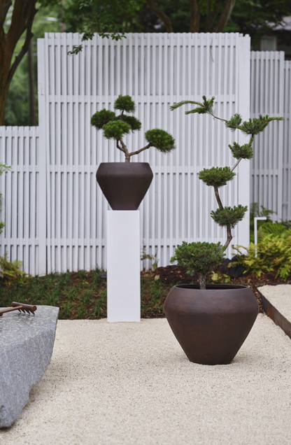 Cocoa Bloom Conatiner