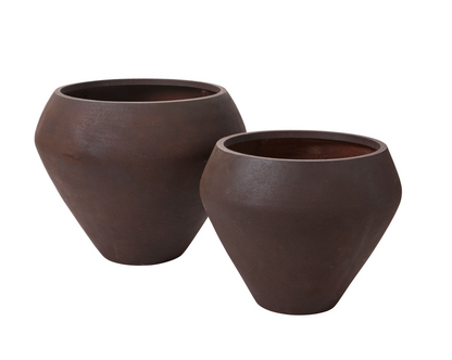 Cocoa Bloom Conatiner