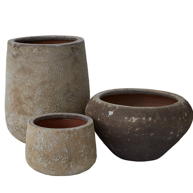 Eroded Eden Container