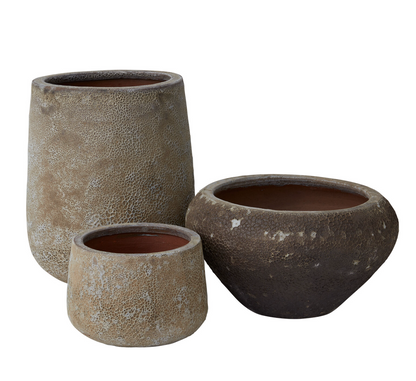 Eroded Eden Container