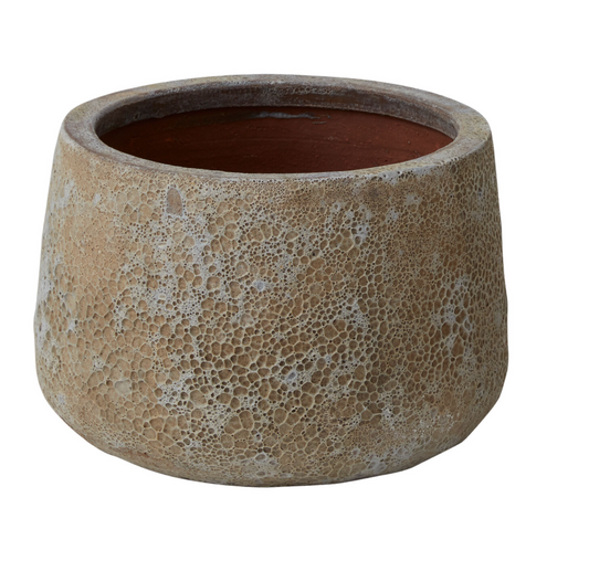 Eroded Eden Container