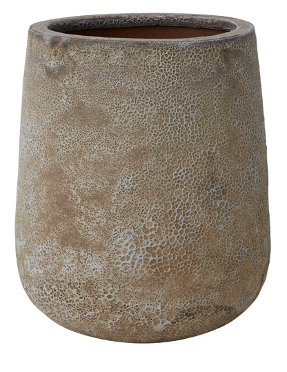 Eroded Eden Container