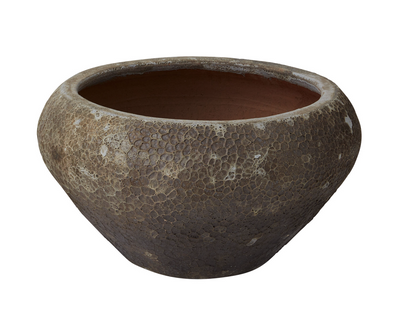 Eroded Eden Container