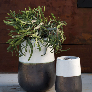 Modern Divide Container
