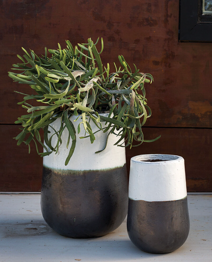 Modern Divide Container