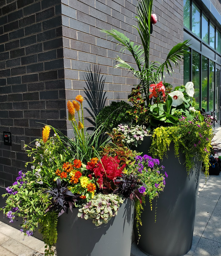 Bloompop Bloompop Nationwide Artisan Flowers, Plants, and Holiday Decor