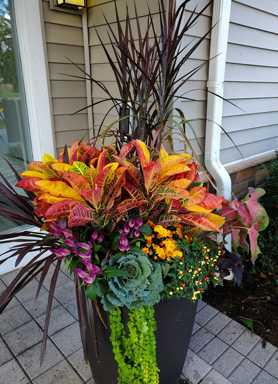 Bloompop Bloompop Nationwide Artisan Flowers, Plants, and Holiday Decor