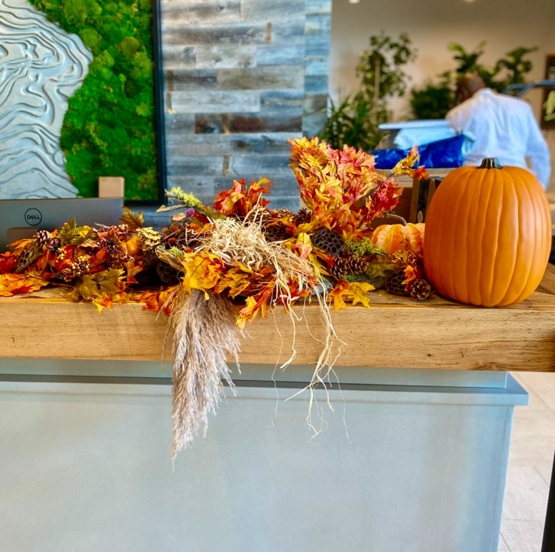 Bloompop Bloompop Nationwide Artisan Flowers, Plants, and Holiday Decor