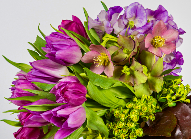 Bloompop Bloompop Nationwide Artisan Flowers, Plants, and Holiday Decor