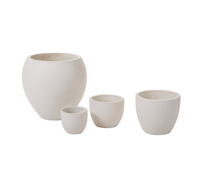 Petroflora Container