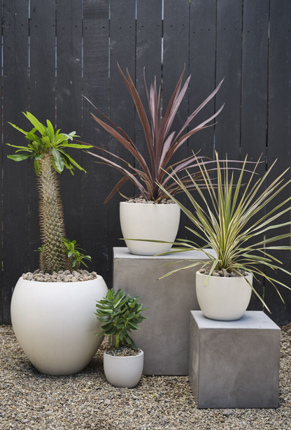 Petroflora Container