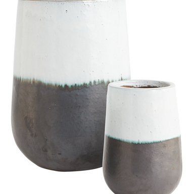 Modern Divide Container