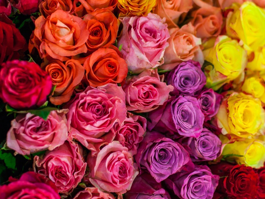 Bloompop Bloompop Nationwide Artisan Flowers, Plants, and Holiday Decor