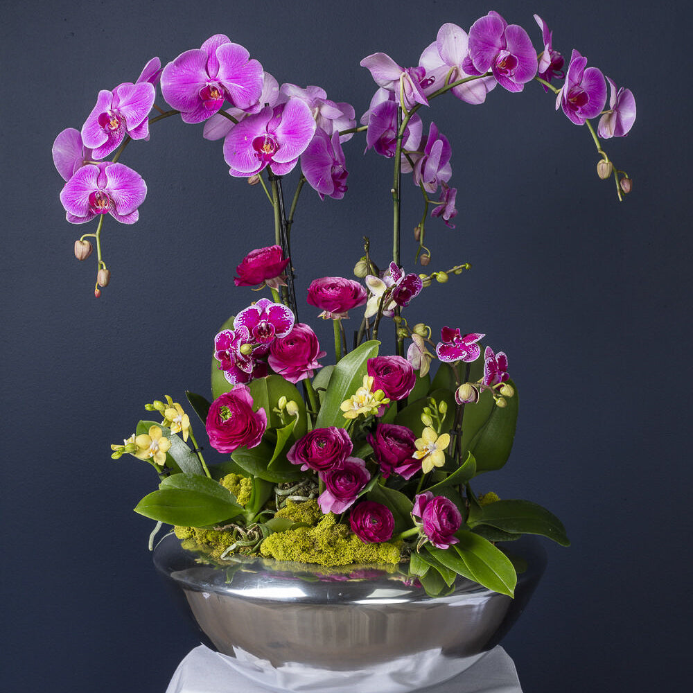 Bloompop Silver Bowl – Bloompop