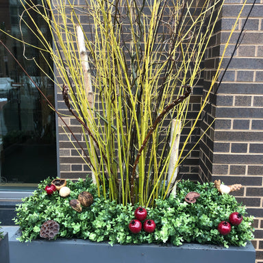 Exterior Artisan Winter Potting