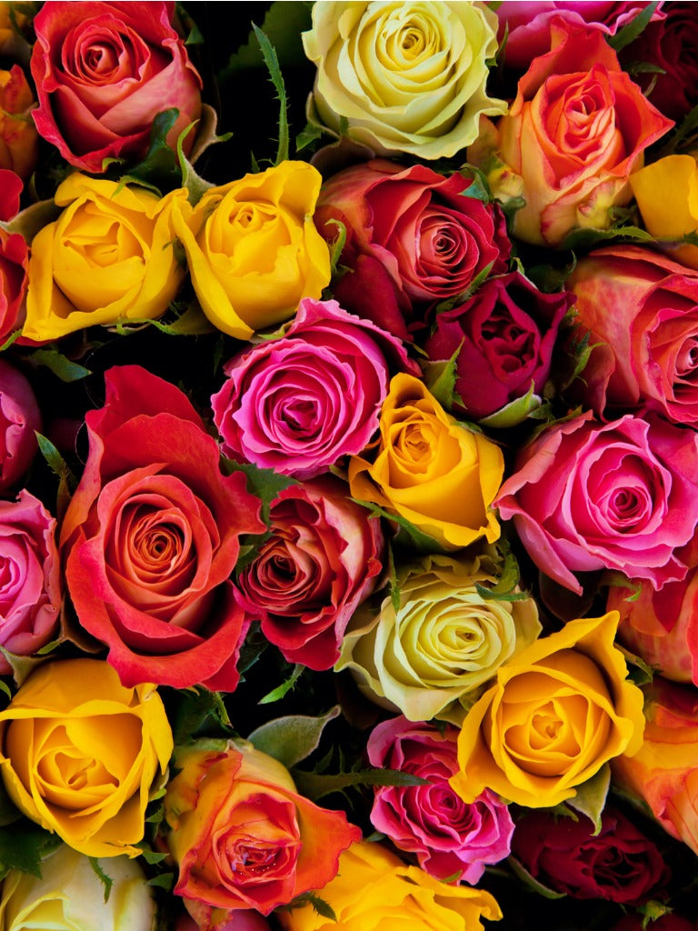 Lobby Engagement - Roses for Residents