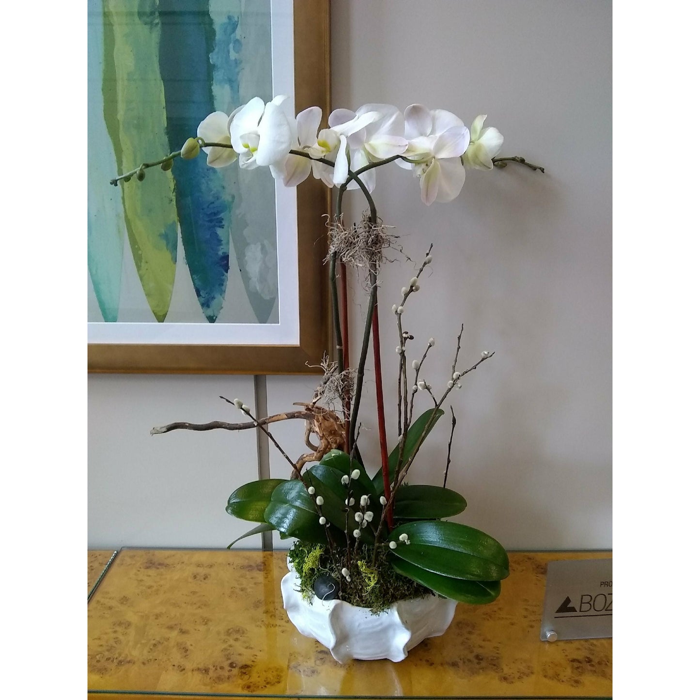 Double Phalaenopsis Orchid display dressed with curly willow and moss by  Green Bouquet Floral Design