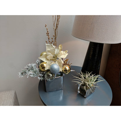 Holiday Accent Design (Dried/Ornaments)