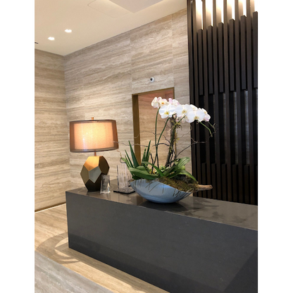 Monthly Phalaenopsis Orchid Subscription